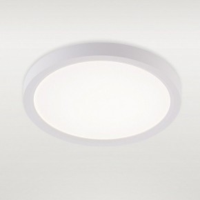 Накладной светильник Natali Kovaltseva PLAIN LED LAMPS 81113/1C в Кунгуре - kungur.ok-mebel.com | фото 2