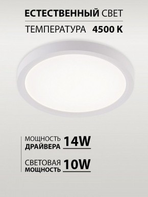 Накладной светильник Natali Kovaltseva PLAIN LED LAMPS 81113/1C в Кунгуре - kungur.ok-mebel.com | фото 4