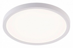 Накладной светильник Natali Kovaltseva PLAIN LED LAMPS 81113/2C в Кунгуре - kungur.ok-mebel.com | фото