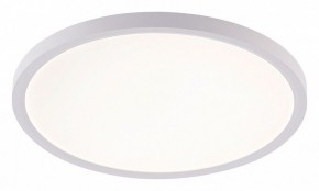 Накладной светильник Natali Kovaltseva PLAIN LED LAMPS 81113/3C в Кунгуре - kungur.ok-mebel.com | фото