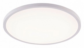 Накладной светильник Natali Kovaltseva PLAIN LED LAMPS 81113/5C в Кунгуре - kungur.ok-mebel.com | фото