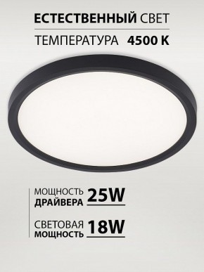 Накладной светильник Natali Kovaltseva PLAIN LED LAMPS 81114/2C в Кунгуре - kungur.ok-mebel.com | фото 3