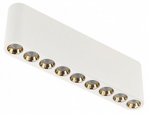 Накладной светильник Odeon Light Small 7091/21CL в Кунгуре - kungur.ok-mebel.com | фото