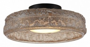Накладной светильник ST-Luce ANTIKE SL6143.422.01 в Кунгуре - kungur.ok-mebel.com | фото 3
