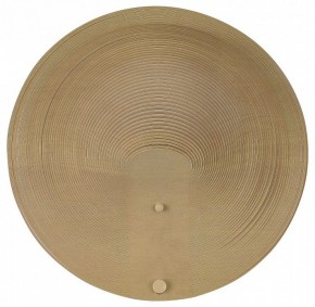 Накладной светильник ST-Luce Fossil SL6900.501.16 в Кунгуре - kungur.ok-mebel.com | фото