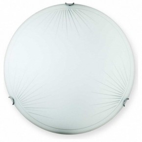 Накладной светильник TopLight Wifa TL9142Y-00WH в Кунгуре - kungur.ok-mebel.com | фото