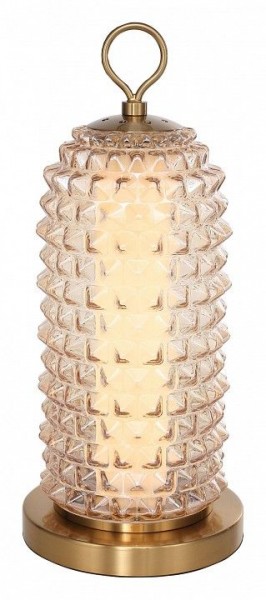 Настольная лампа декоративная ST-Luce SAGUARO SL6144.304.01 в Кунгуре - kungur.ok-mebel.com | фото 2