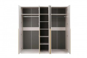НИКОЛЬ 25 Шкаф 5-ти створчатый в Кунгуре - kungur.ok-mebel.com | фото 3
