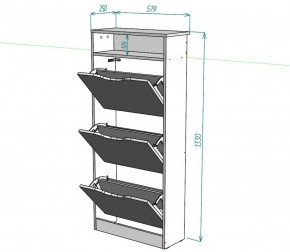 Обувница W10 (ДСС) в Кунгуре - kungur.ok-mebel.com | фото