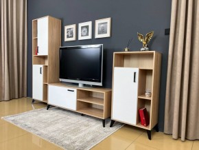 ОСКАР TRIO Гостиная (дуб золотой/белый) в Кунгуре - kungur.ok-mebel.com | фото 3