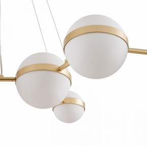 Подвесная люстра Favourite Asterismo 4448-8P в Кунгуре - kungur.ok-mebel.com | фото 5