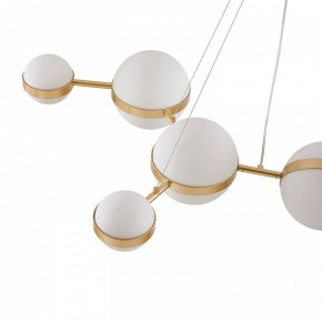 Подвесная люстра Favourite Asterismo 4448-8P в Кунгуре - kungur.ok-mebel.com | фото 7