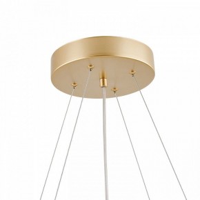 Подвесная люстра Favourite Asterismo 4448-8P в Кунгуре - kungur.ok-mebel.com | фото 8