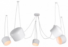 Подвесная люстра Lussole Shirley LSP-8175 в Кунгуре - kungur.ok-mebel.com | фото