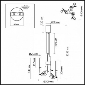 Подвесная люстра Odeon Light Lark 5431/6L в Кунгуре - kungur.ok-mebel.com | фото 5