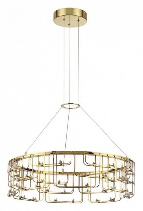 Подвесная люстра Odeon Light ZAHA 7060/44L в Кунгуре - kungur.ok-mebel.com | фото 2