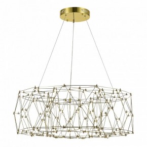 Подвесная люстра ST-Luce Gravetta SL6602.203.48 в Кунгуре - kungur.ok-mebel.com | фото 3