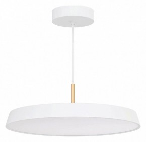 Подвесной светильник Arlight ELEGANT 033925(1) в Кунгуре - kungur.ok-mebel.com | фото 2