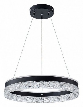 Подвесной светильник Arte Lamp Apollo A2549SP-75BK в Кунгуре - kungur.ok-mebel.com | фото 2