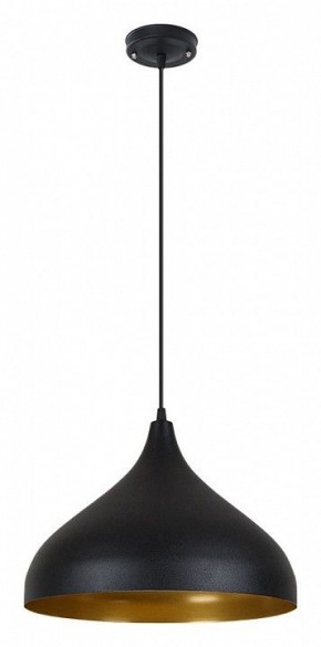 Подвесной светильник Arte Lamp Carmel A7076SP-1BK в Кунгуре - kungur.ok-mebel.com | фото 2