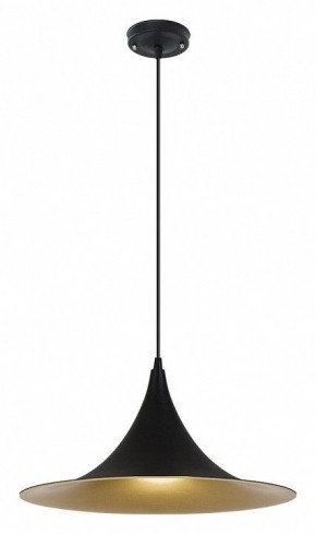 Подвесной светильник Arte Lamp Carmel A7080SP-1BK в Кунгуре - kungur.ok-mebel.com | фото 2