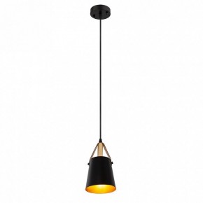 Подвесной светильник Arte Lamp Thomas A7032SP-1BK в Кунгуре - kungur.ok-mebel.com | фото 3
