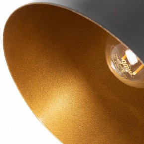 Подвесной светильник Arte Lamp Thomas A7032SP-1BK в Кунгуре - kungur.ok-mebel.com | фото 5