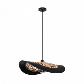 Подвесной светильник Arte Lamp Woodstock A7059SP-1BK в Кунгуре - kungur.ok-mebel.com | фото 2