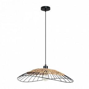 Подвесной светильник Arte Lamp Woodstock A7061SP-1BK в Кунгуре - kungur.ok-mebel.com | фото 2