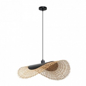 Подвесной светильник Arte Lamp Woodstock A7063SP-1BK в Кунгуре - kungur.ok-mebel.com | фото 2