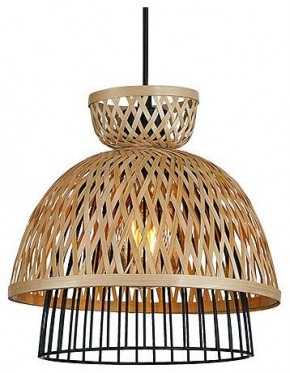 Подвесной светильник Arte Lamp Woodstock A7070SP-1BK в Кунгуре - kungur.ok-mebel.com | фото 2