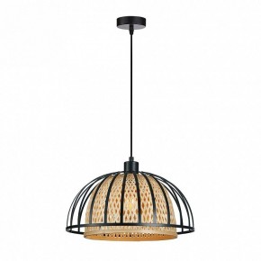 Подвесной светильник Arte Lamp Woodstock A7071SP-1BK в Кунгуре - kungur.ok-mebel.com | фото