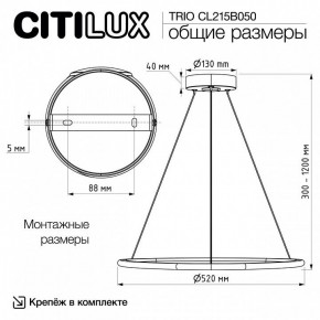 Подвесной светильник Citilux Trio CL215B050 в Кунгуре - kungur.ok-mebel.com | фото 9