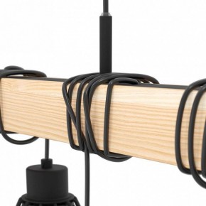 Подвесной светильник Eglo TOWNSHEND 5 44077 в Кунгуре - kungur.ok-mebel.com | фото 4