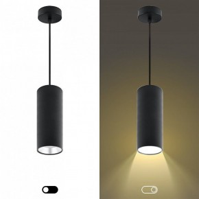 Подвесной светильник Эра  PL12 GX53 BK/SL в Кунгуре - kungur.ok-mebel.com | фото 5
