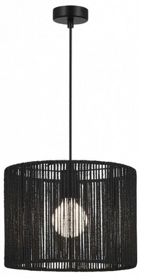 Подвесной светильник EVOLUCE ETTAN SLE6024-403-01 в Кунгуре - kungur.ok-mebel.com | фото 2