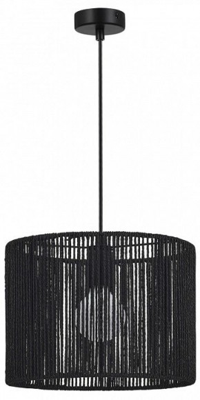 Подвесной светильник EVOLUCE ETTAN SLE6024-403-01 в Кунгуре - kungur.ok-mebel.com | фото 4