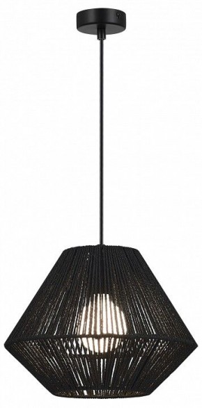 Подвесной светильник EVOLUCE ETTAN SLE6025-403-01 в Кунгуре - kungur.ok-mebel.com | фото 2