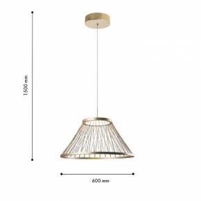 Подвесной светильник Favourite Fibra 4634-6P в Кунгуре - kungur.ok-mebel.com | фото 4