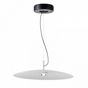 Подвесной светильник Favourite Lars 4410-2P в Кунгуре - kungur.ok-mebel.com | фото 2