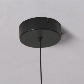 Подвесной светильник Favourite Wilet 4656-1P в Кунгуре - kungur.ok-mebel.com | фото 10