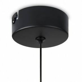 Подвесной светильник Freya Idol FR6134PL-L4SM в Кунгуре - kungur.ok-mebel.com | фото 8