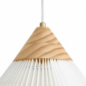 Подвесной светильник Freya Kinsley FR5533PL-01BS в Кунгуре - kungur.ok-mebel.com | фото 8