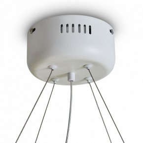 Подвесной светильник Freya Rain FR5546PL-L60W в Кунгуре - kungur.ok-mebel.com | фото 9