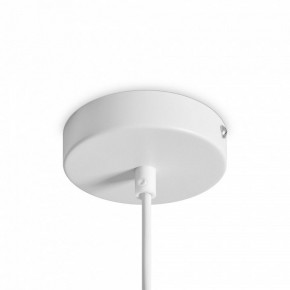 Подвесной светильник Freya Shapes FR5530PL-L10W в Кунгуре - kungur.ok-mebel.com | фото 5