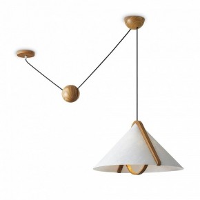 Подвесной светильник Freya Umbra FR5554CL-01T в Кунгуре - kungur.ok-mebel.com | фото 2