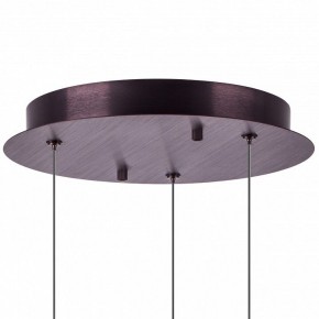 Подвесной светильник Lightstar Caramello 796139 в Кунгуре - kungur.ok-mebel.com | фото 13