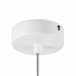 Подвесной светильник Lightstar Rocco 793116 в Кунгуре - kungur.ok-mebel.com | фото 10