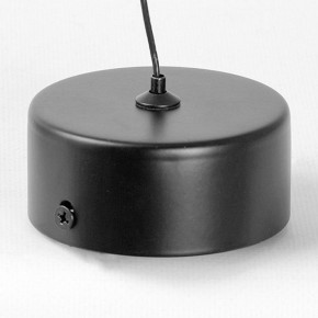 Подвесной светильник Lussole Blount LSP-7356 в Кунгуре - kungur.ok-mebel.com | фото 6