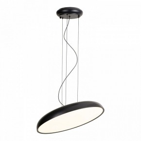 Подвесной светильник Lussole Crook LSP-7360 в Кунгуре - kungur.ok-mebel.com | фото 2